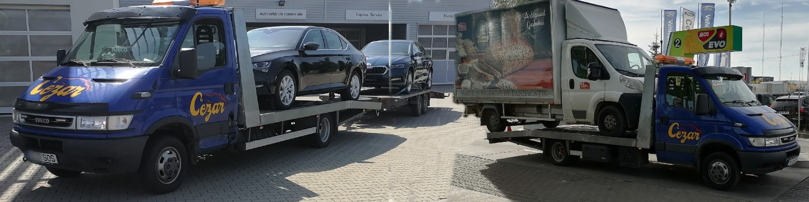 Firma Tractari Auto Bistrita